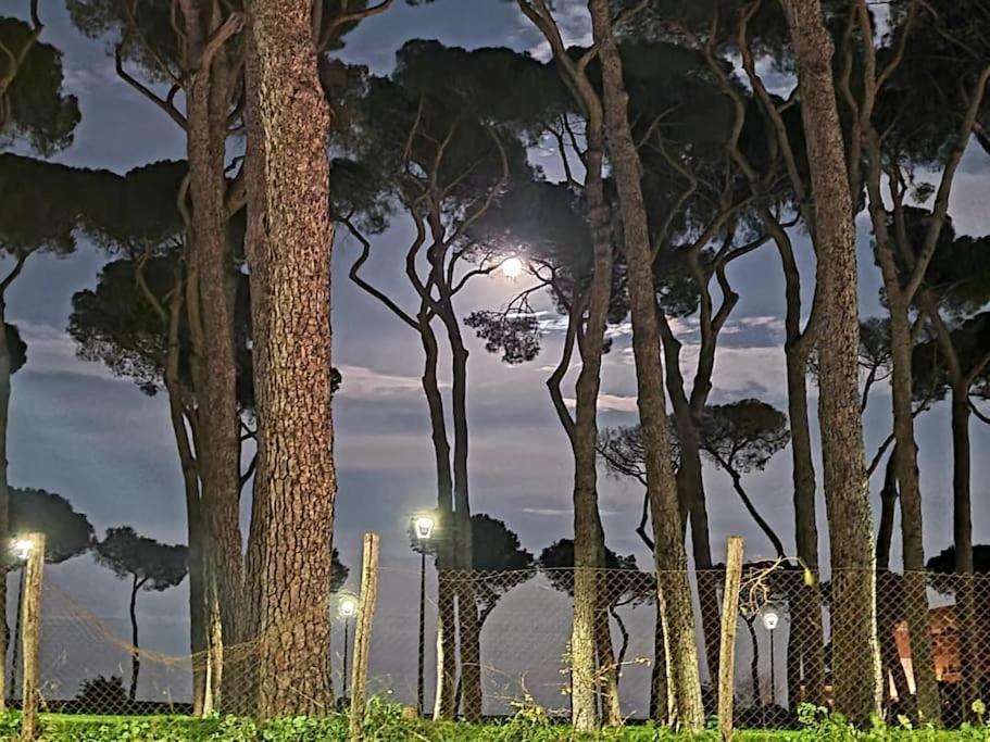 La Casa Della Pineta Villa Róma Kültér fotó